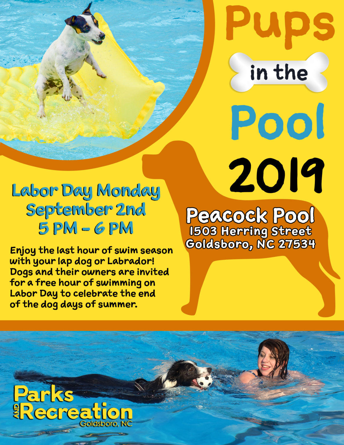 Flyer for Pups in the Pool 2019